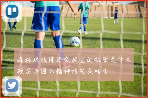 森林狼残阵逆袭掘金的秘密是什么硬度与团队精神的完美结合